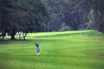 Lanna Golf Club